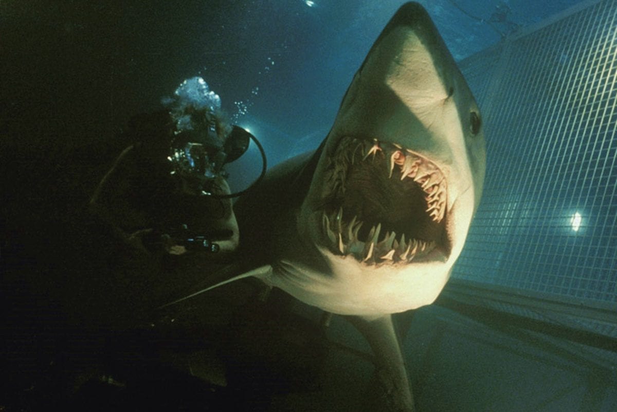 Deep Blue Sea 2 is one of the new shark movies from 2018.