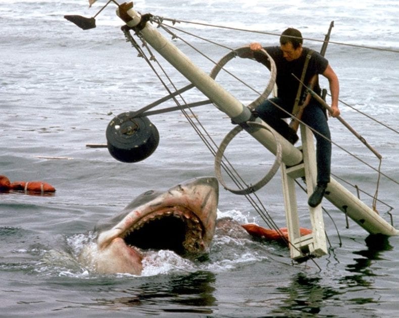 Jaws 1975 #Jaws1975