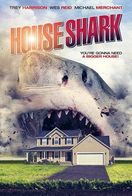 House Shark 2017