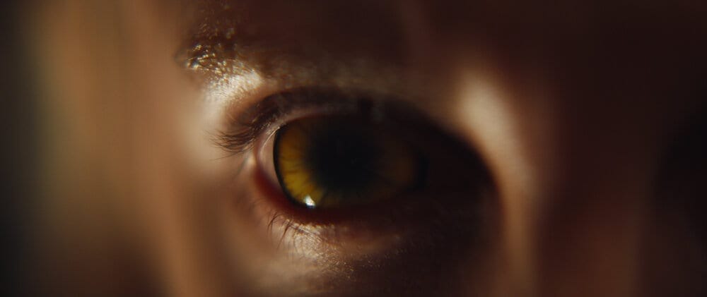 Bloodthirsty 2020 - 45 best horror movies list