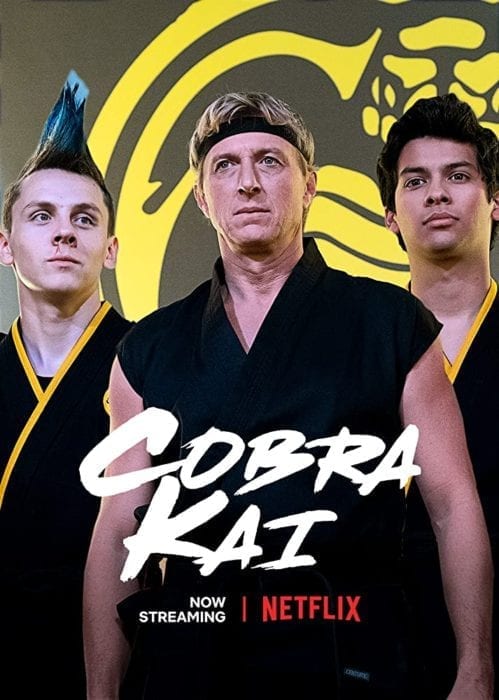 Cobra Kai TV Series Cast and season return date on Mother of Movies
