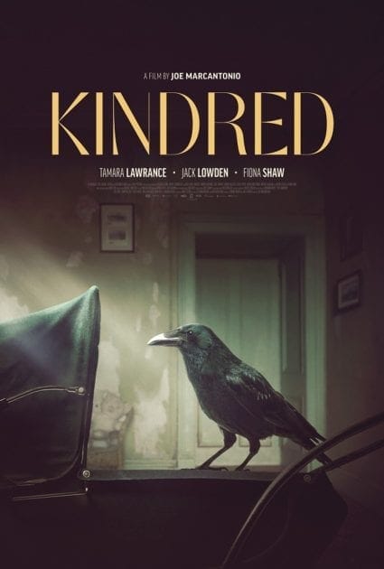 Joe Marcantonio’s KINDRED.