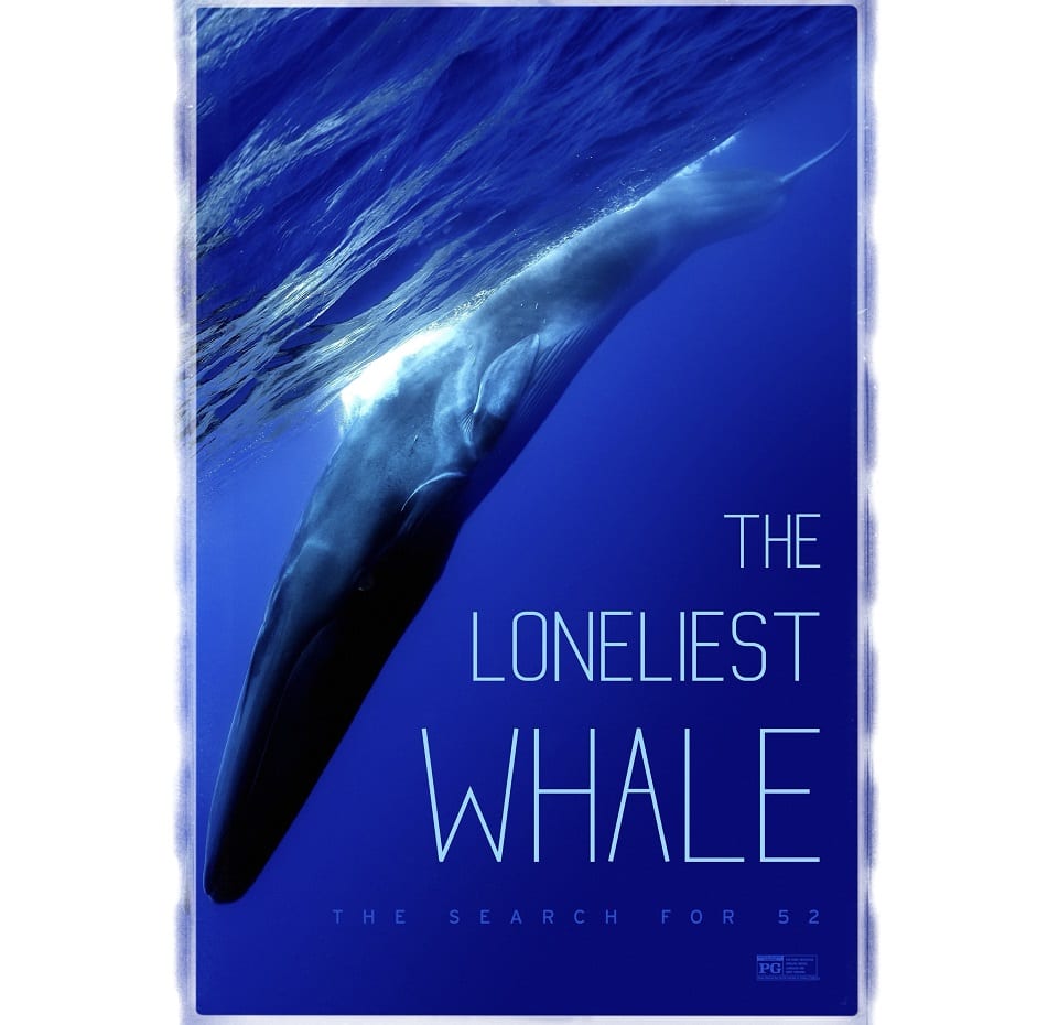 The Loneliest Whale The Search for 52