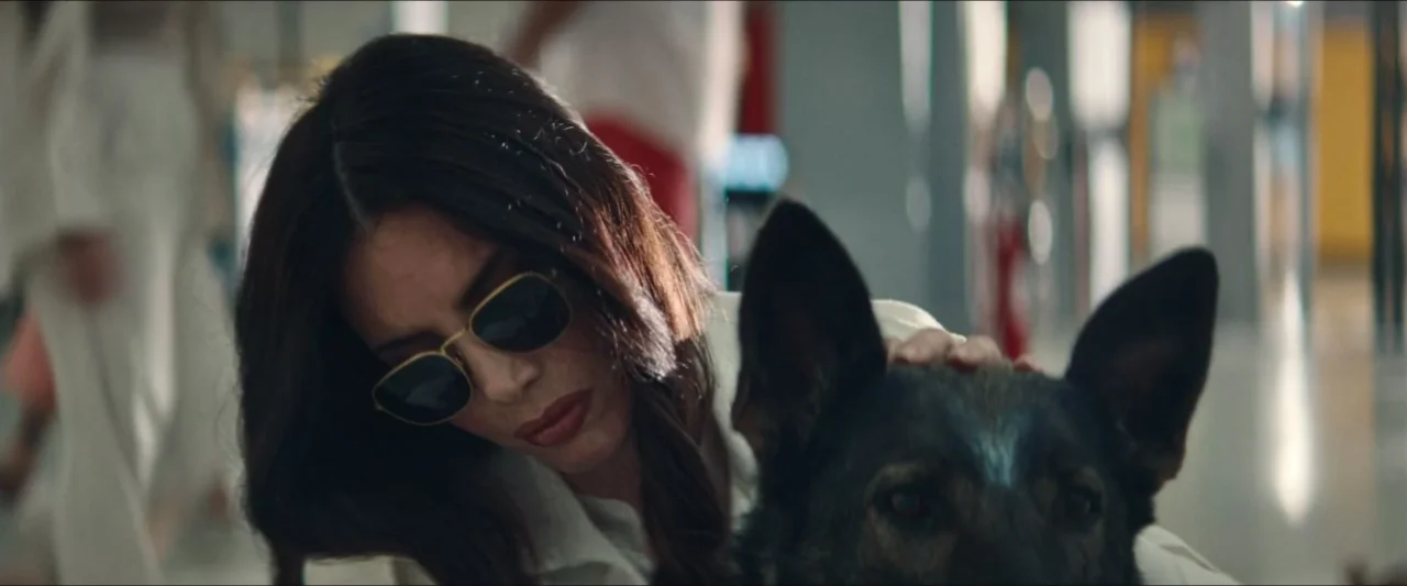 Seeing-eye dog in tense standoff from Dark Glasses Shudder release