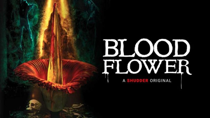 Blood Flower Movie blood flower