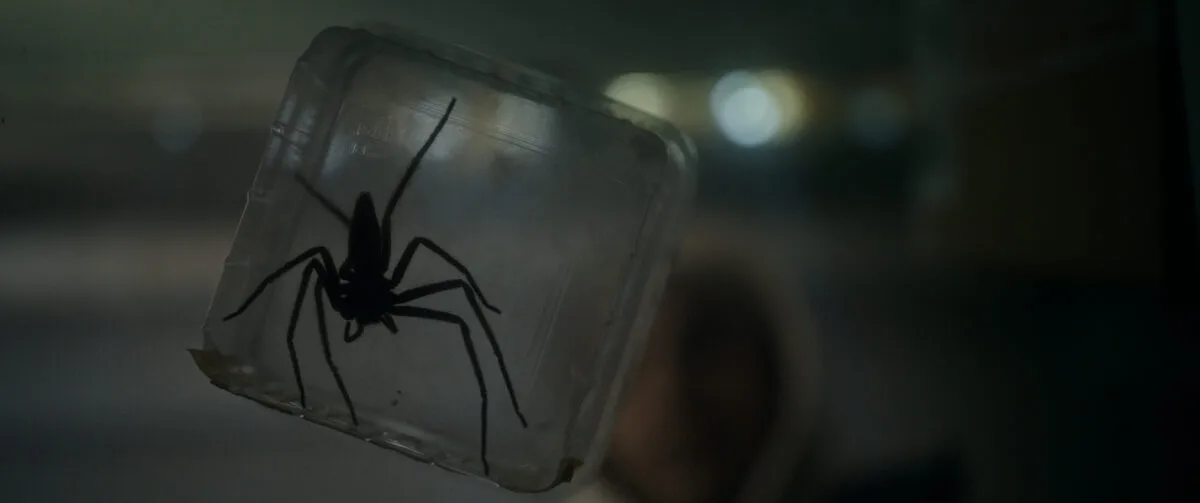 Infested spider horror movie 2024