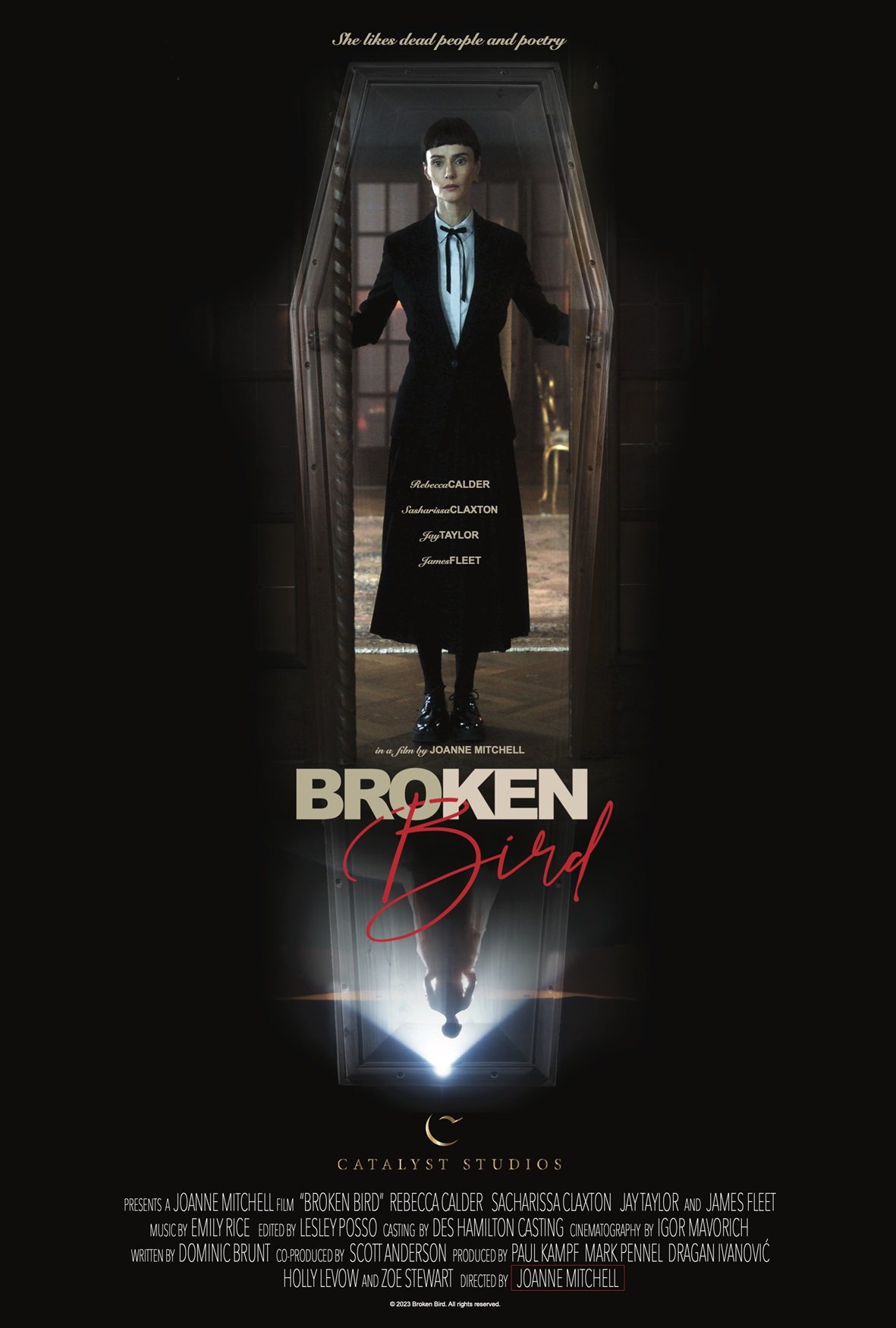 Broken Bird poster 2024