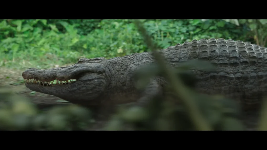 The Bayou with killer crocs