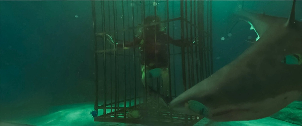 Into the Deep - Shark attack movie 2025