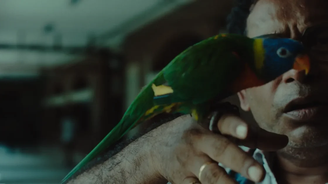 Bhaggo halo Du Shaw Review